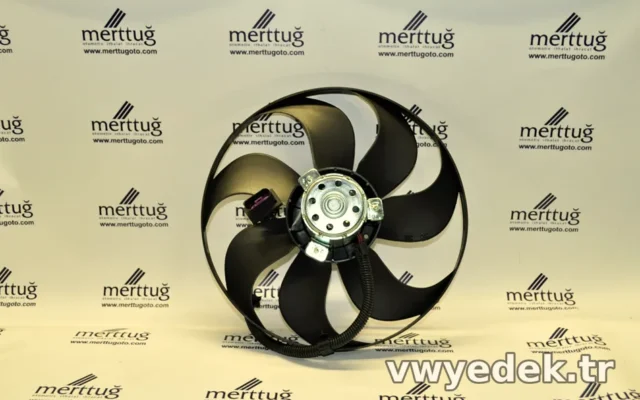 Fan Büyük – Bora – 2002 – 2005